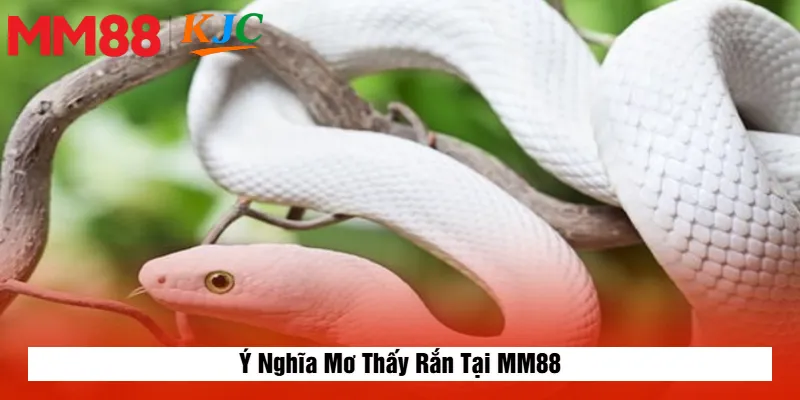 Ý Nghĩa Mơ Thấy Rắn Tại MM88